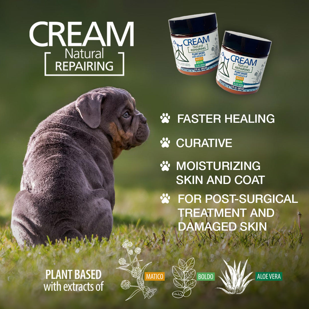 Crema reparadora cicatrizante Natural Matico Boldo Aloe 60 mL