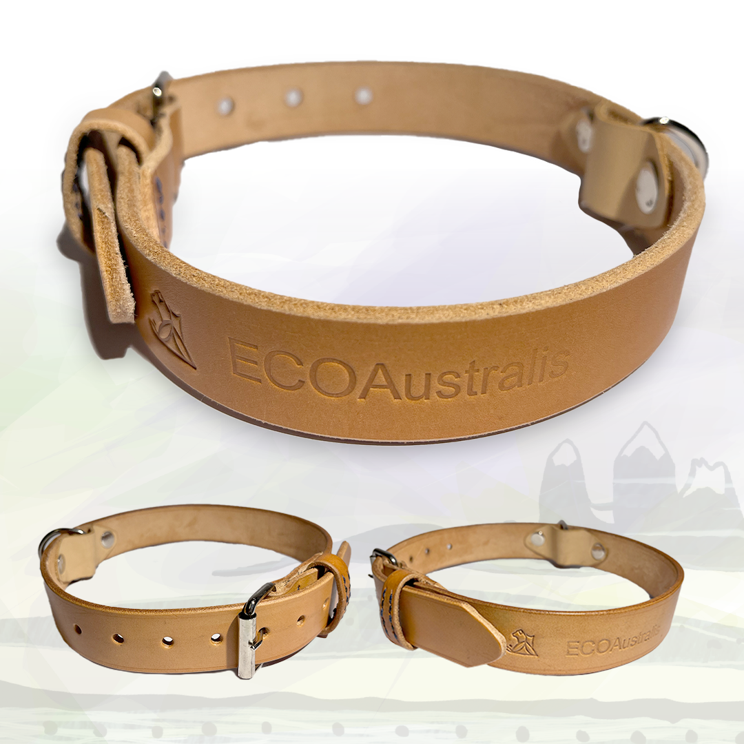 Collar artesanal de cuero natural PEQUEÑO EcoAustralis