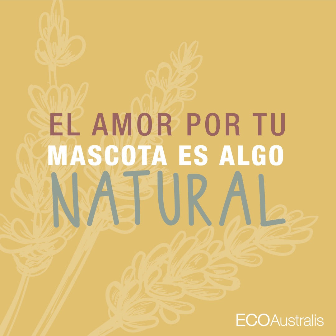 ¡Descubre cómo cuidar la piel y el pelaje de tu mascota con productos naturales!