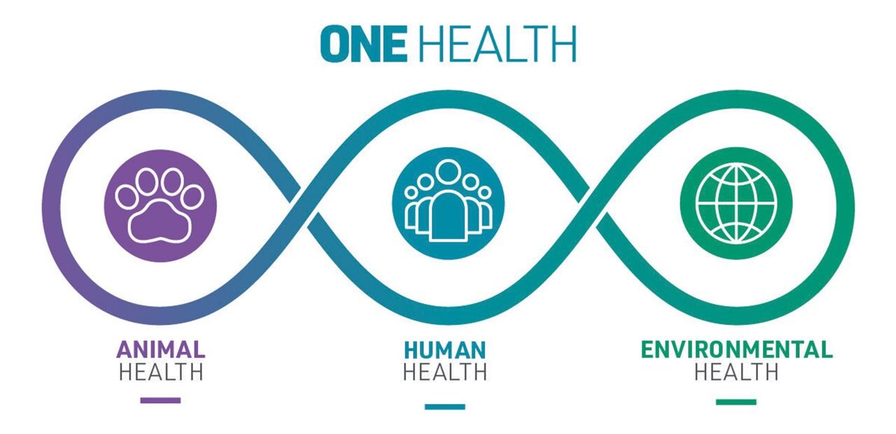 One Health: Un Enfoque Integral para el Bienestar Global y el Rol de E ...