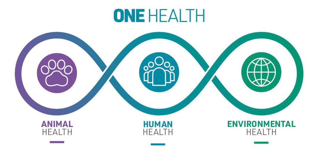 One Health: Un Enfoque Integral para el Bienestar Global y el Rol de ECOAustralis