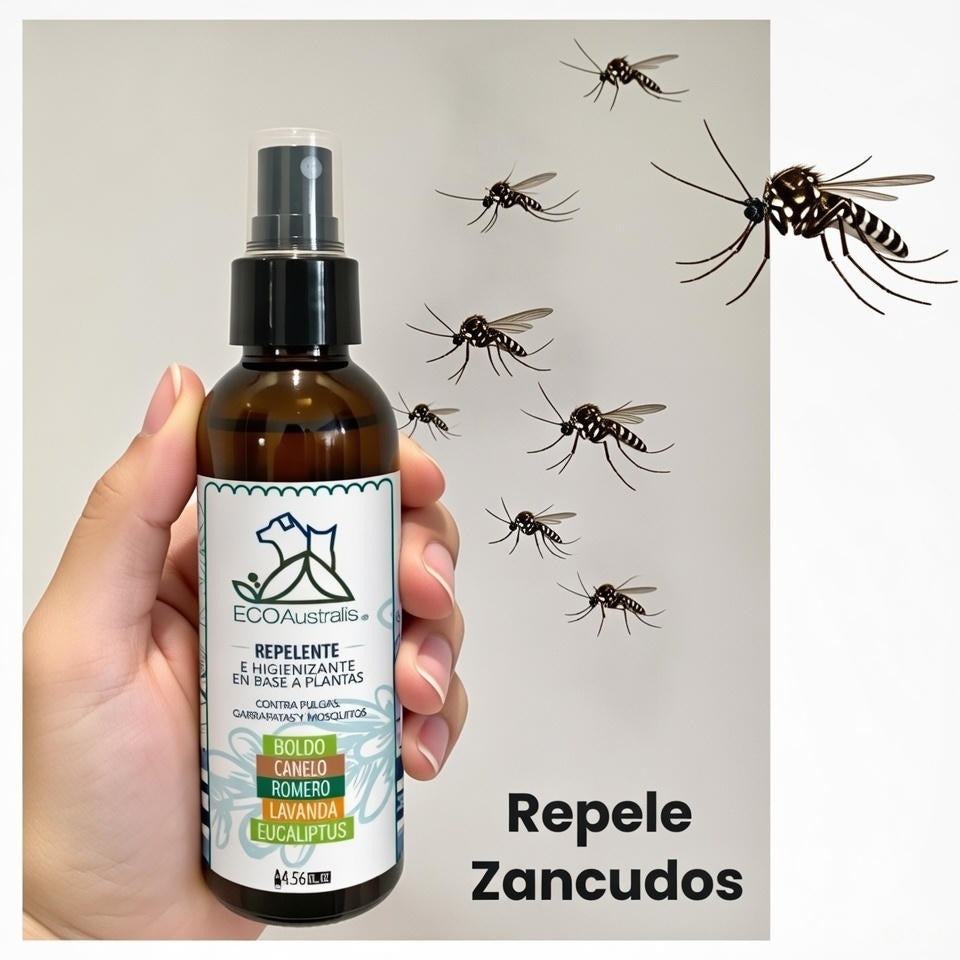 Zancudos!! no solo son molestos