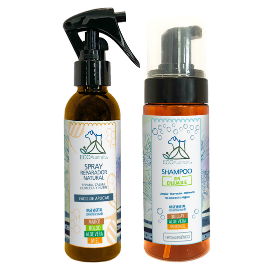 PACK Práctico: Shampoo sin Enjuague 160 ml + Spray Natural Miel 135 ml